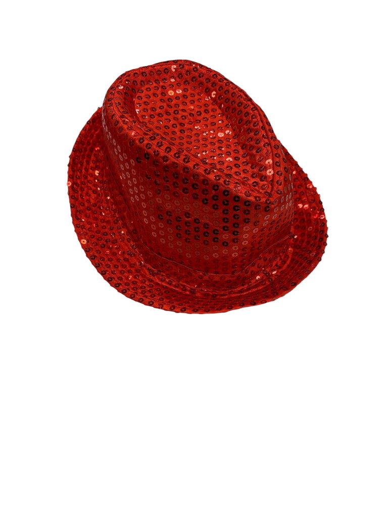 Sequin Hat