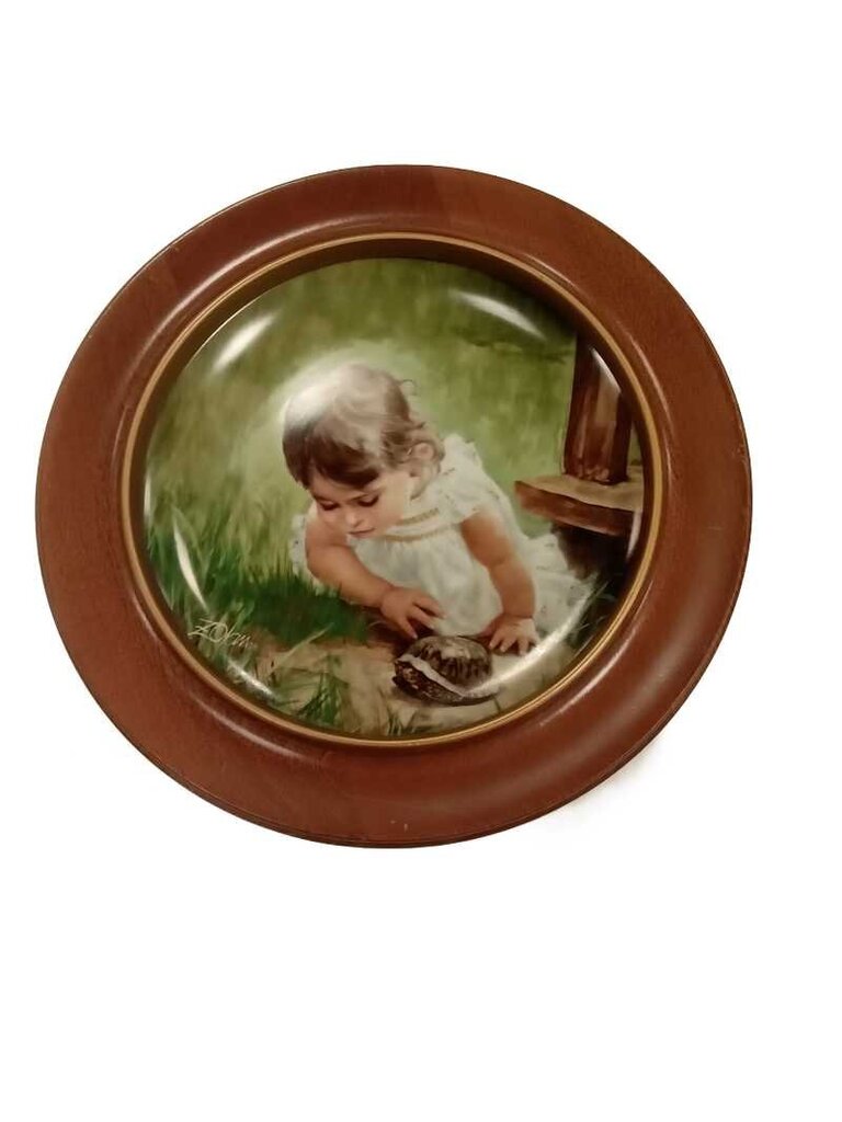 Backyard Discovery Plate - Vintage collectible