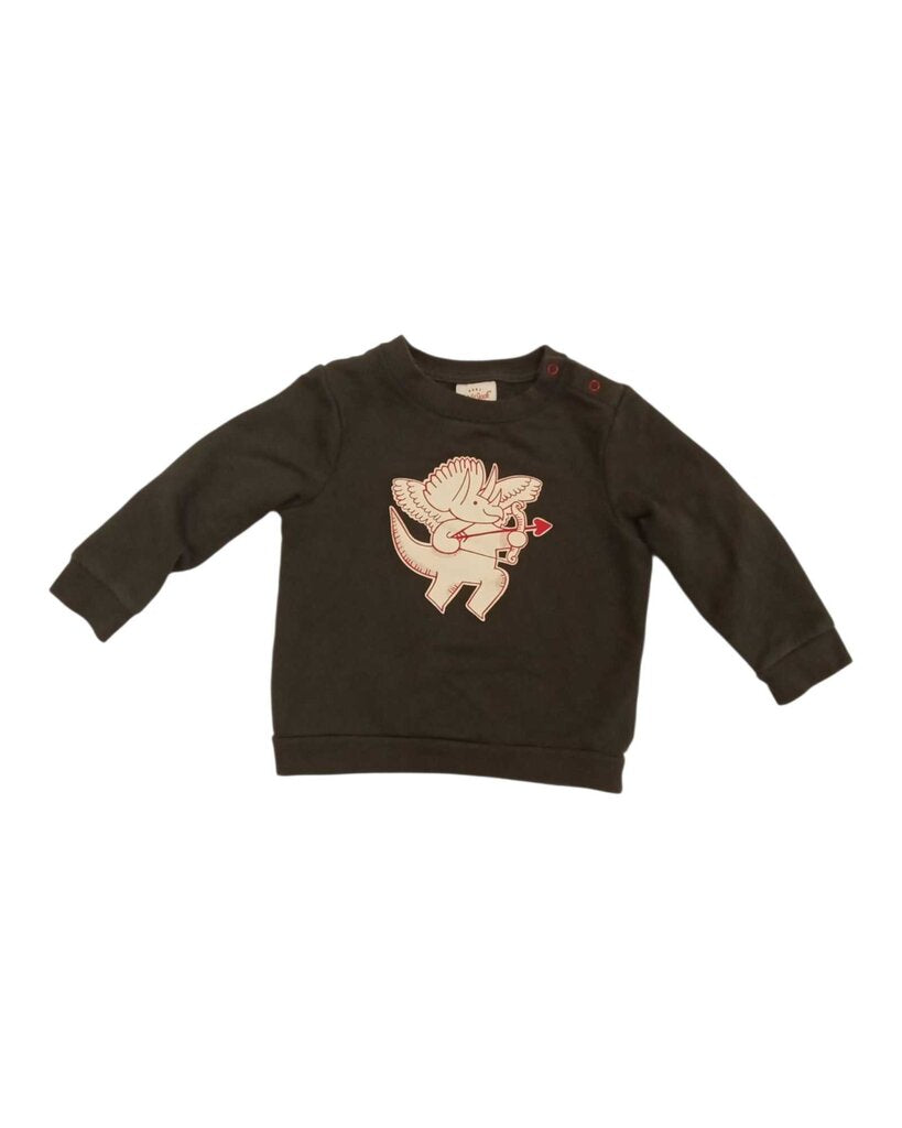 Sweatshirt: Triceratops cupid