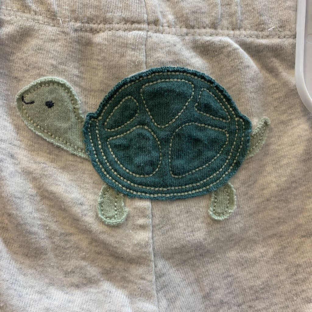Pants: Turtles NWOT