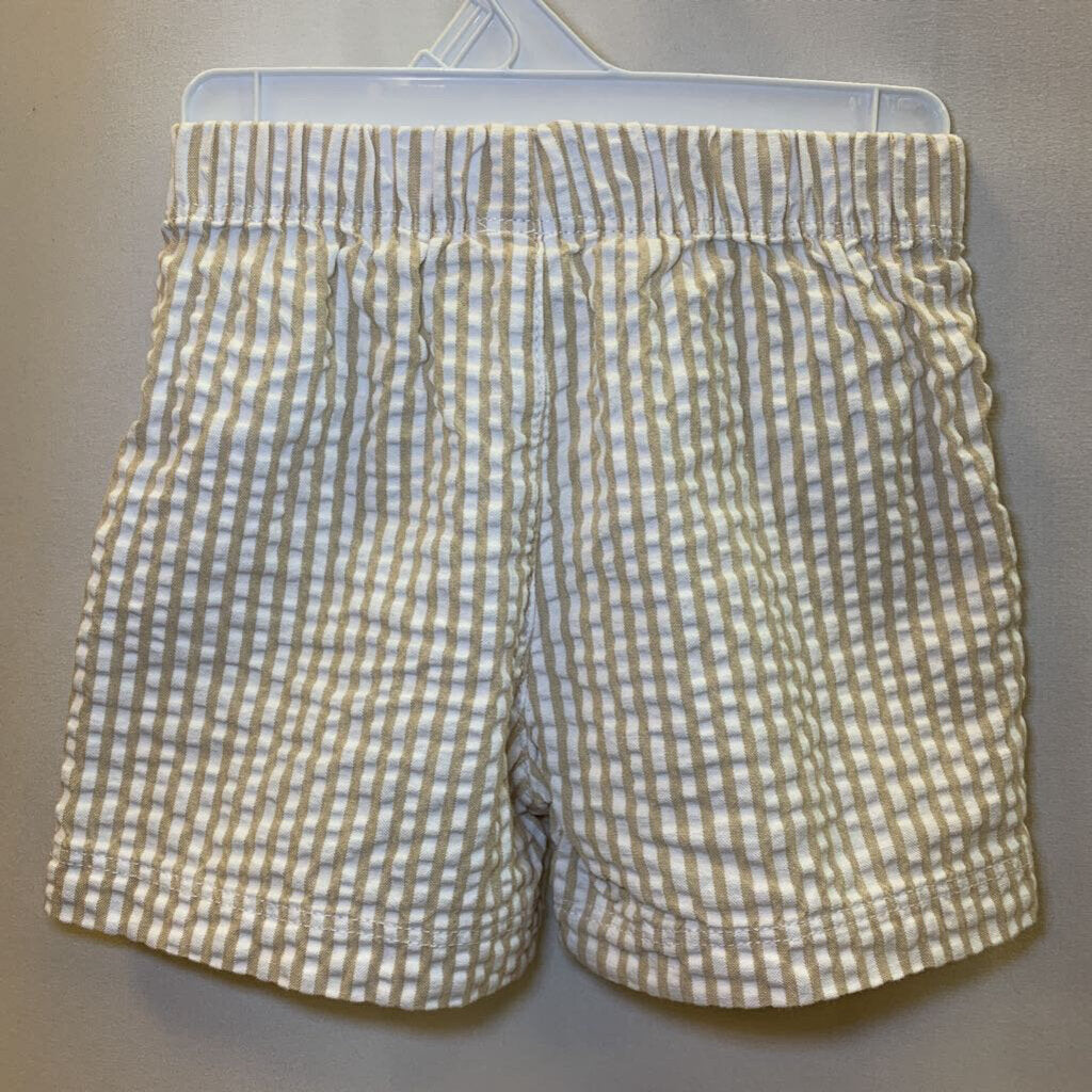 Shorts: Striped Stretchy with Button