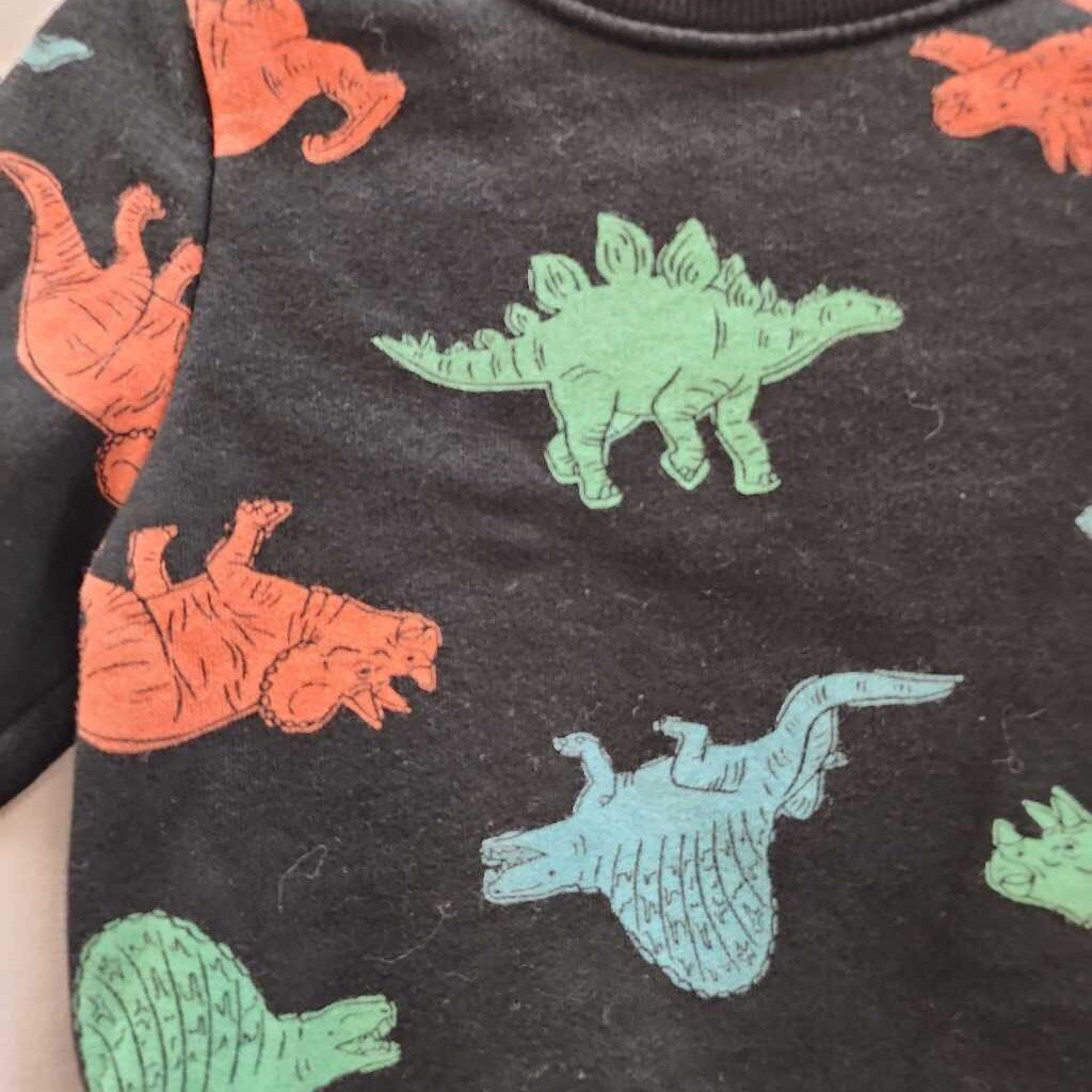 Sweatshirt: Dinosaur Long Sleeve