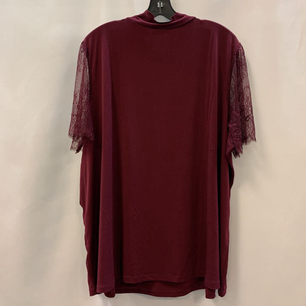 Shirt: Lace Sleeve Mock Turtle Neck