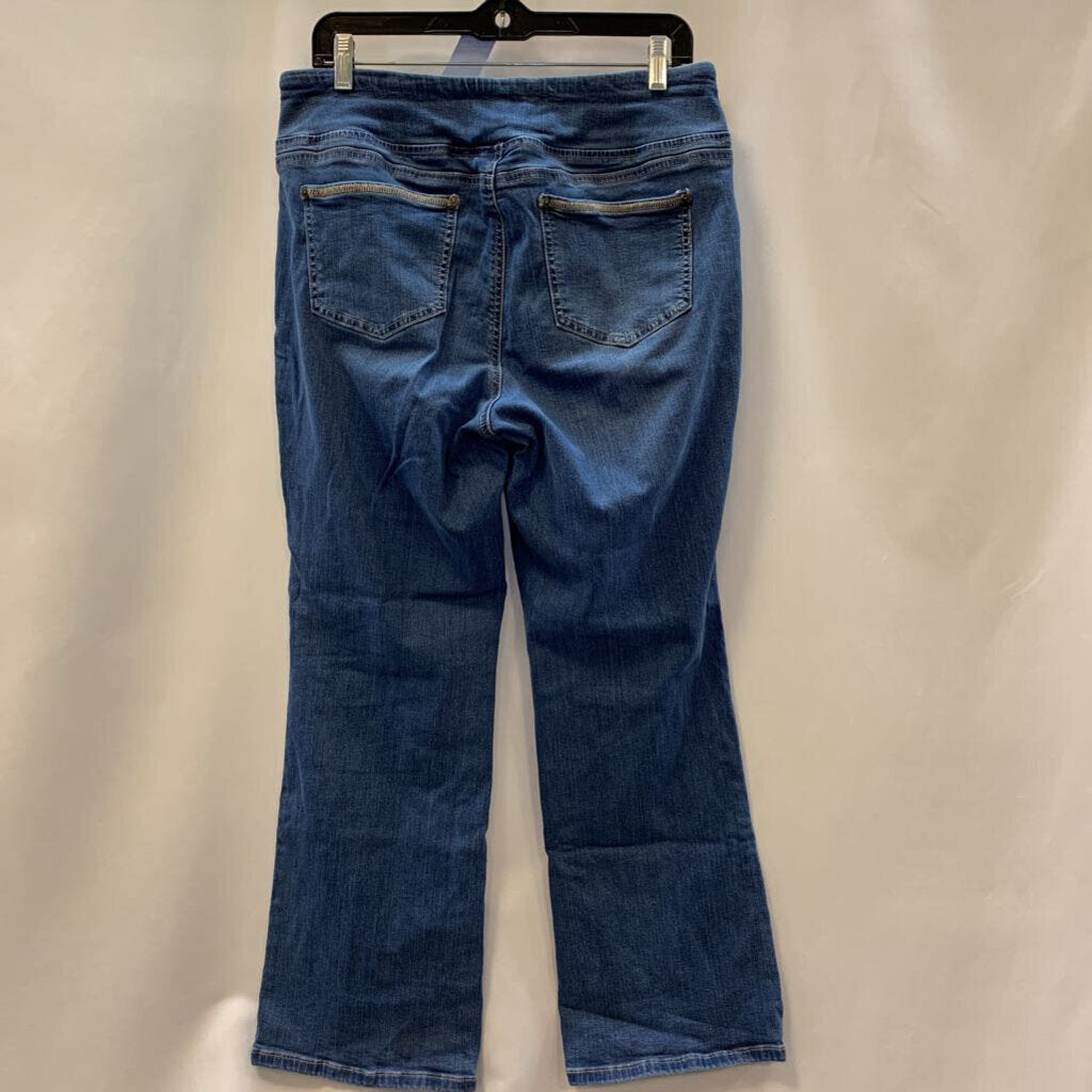 Pants: Triple Luxe Pull-On Jeans NWOT