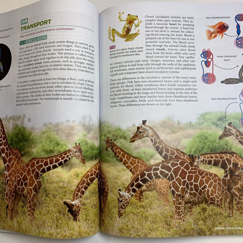 Life Science Student Edition, 5th ed