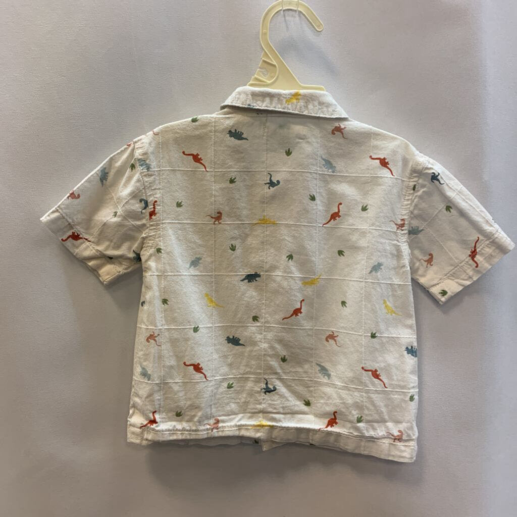 Shirt: Dinosaur Collared Button-Up