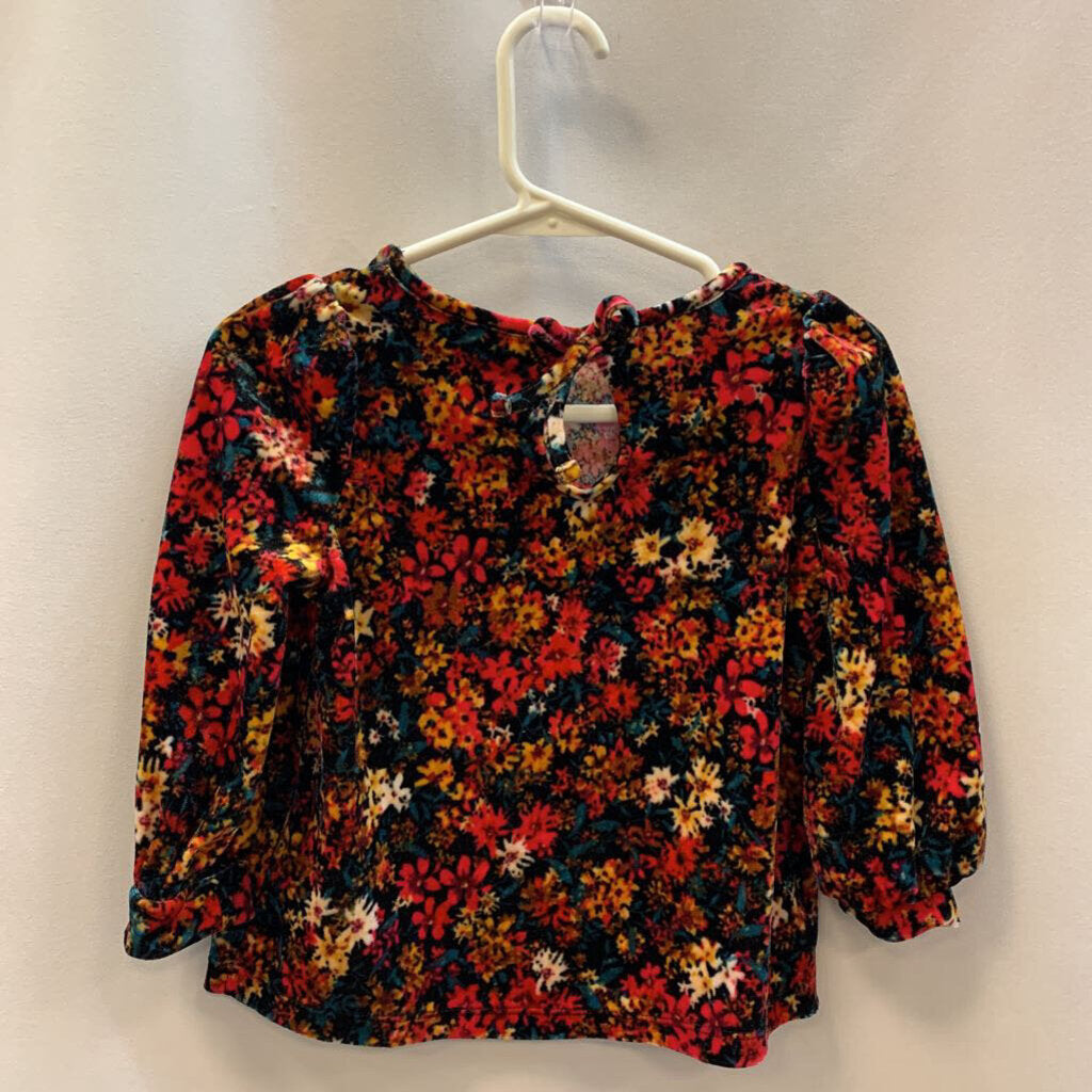 Long Sleeve Shirt: Velvet Floral