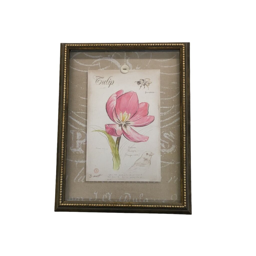 Tulip
