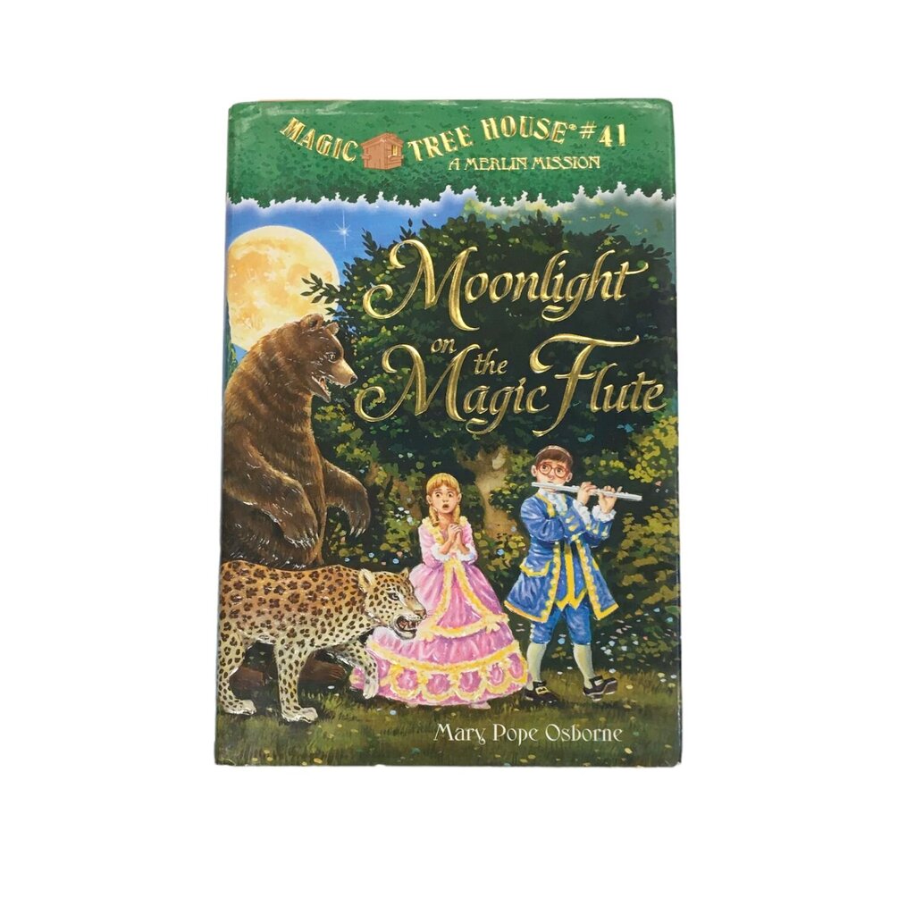 Magic Tree House #41
