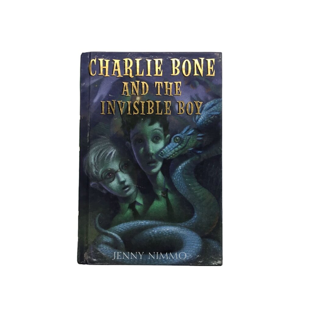 Charlie Bone And The Invi
