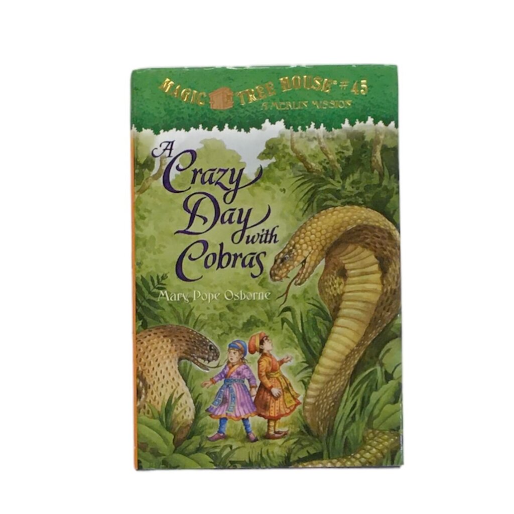 Magic Tree House #45