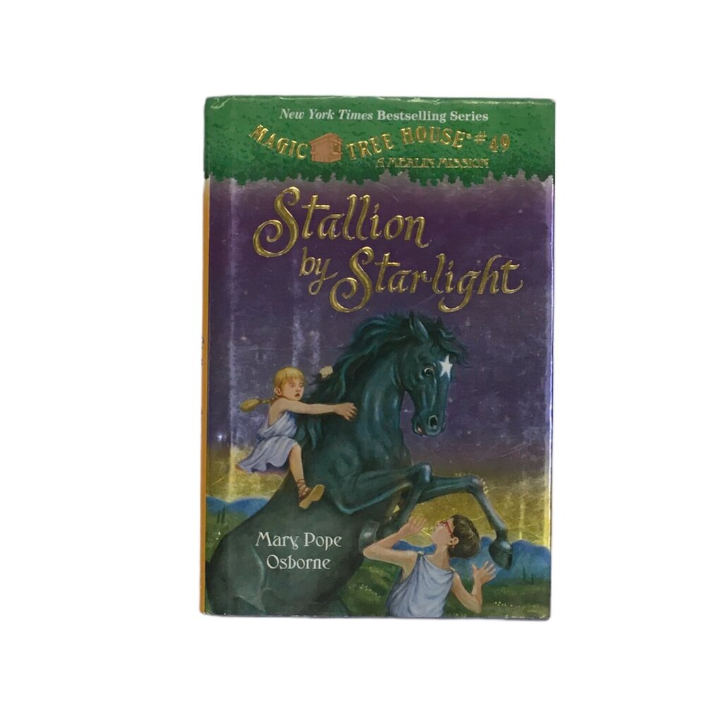 Magic Tree House #49