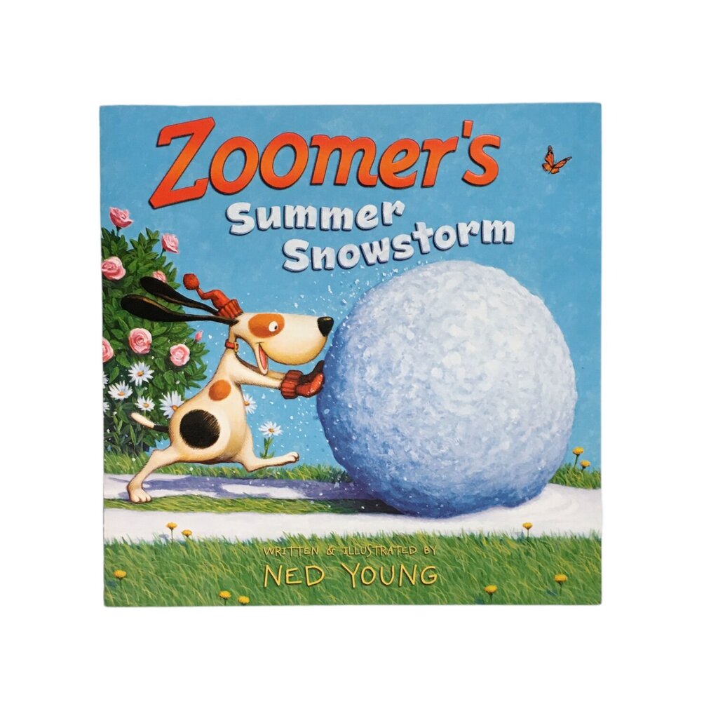 Zoomers Summer Snowstorm, Book