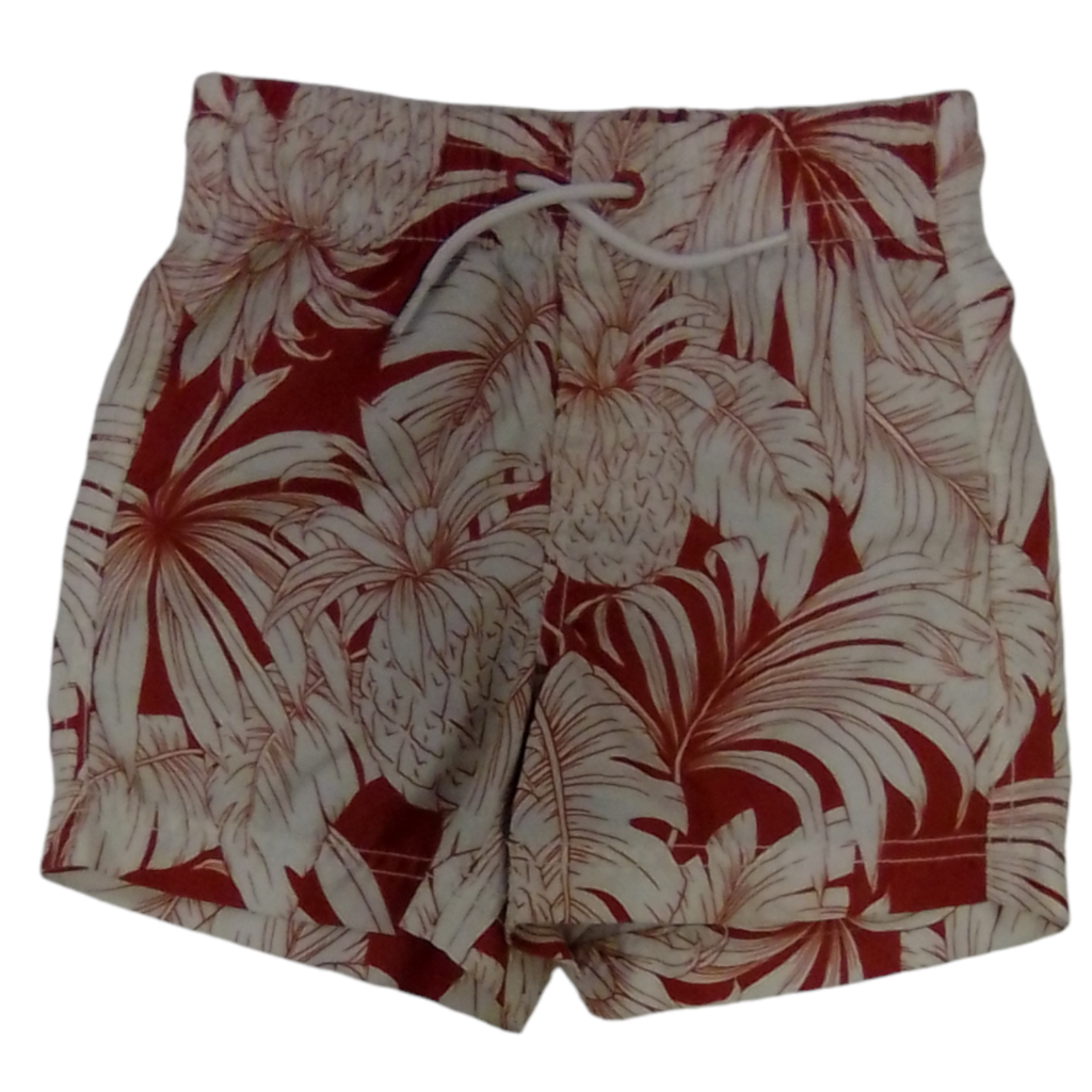 Swim Shorts:orange/forest