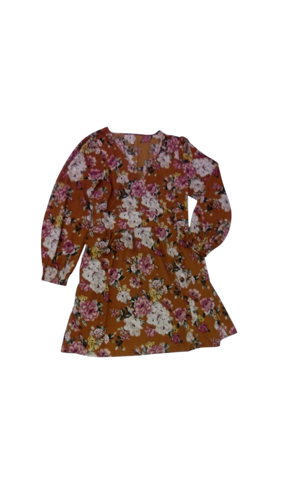 Long Sleeve Dress: Brown