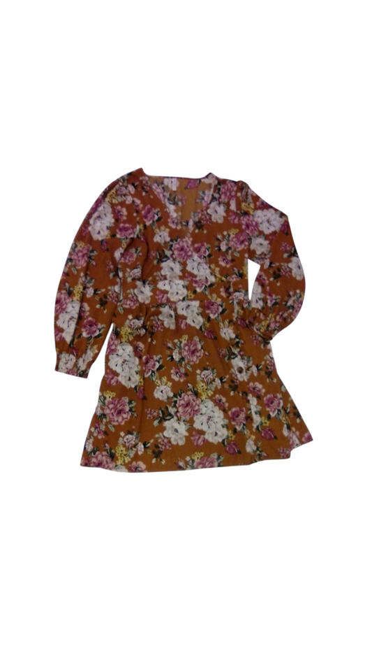 Long Sleeve Dress: Brown