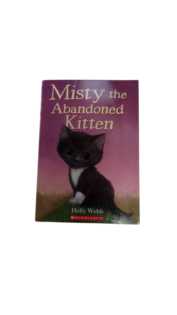 Misty The Abandoned Kitte