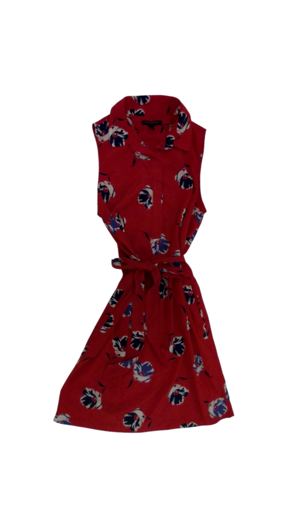 Dress: Red/Blue Flowers