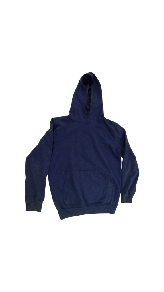 Hoodie: Blue