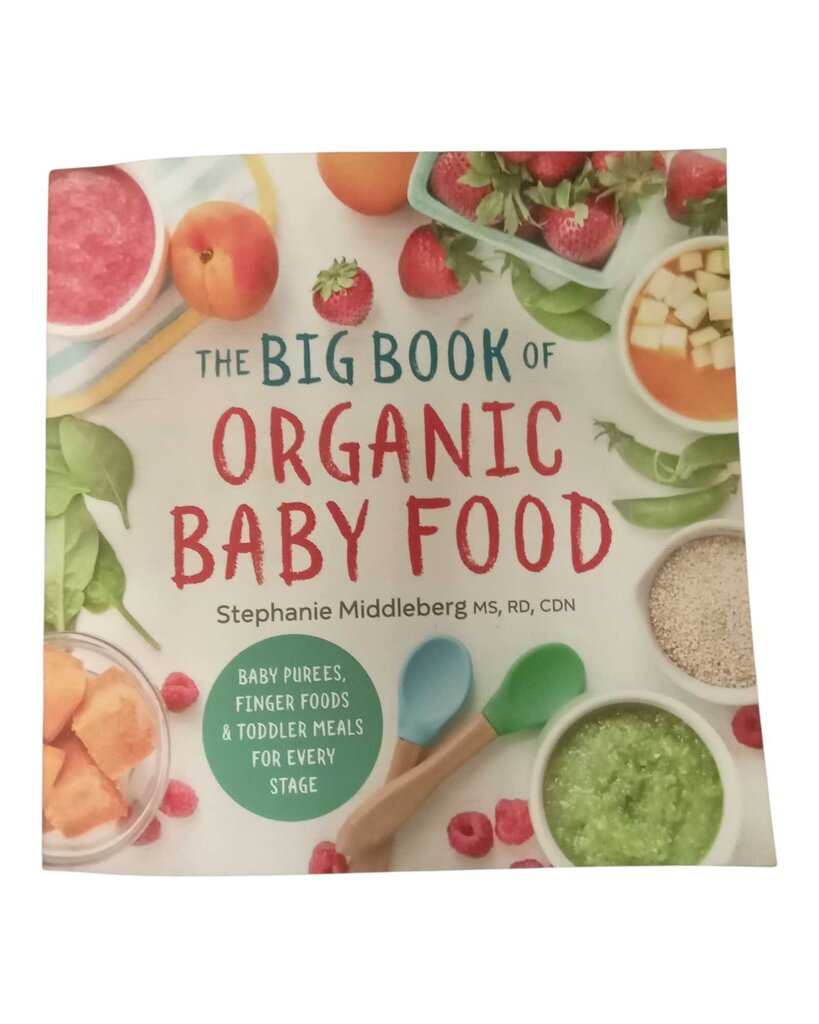 The Big Book of Organic Baby Food