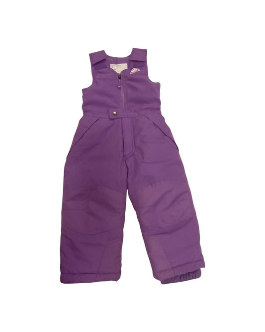 Bib Overalls: Snow