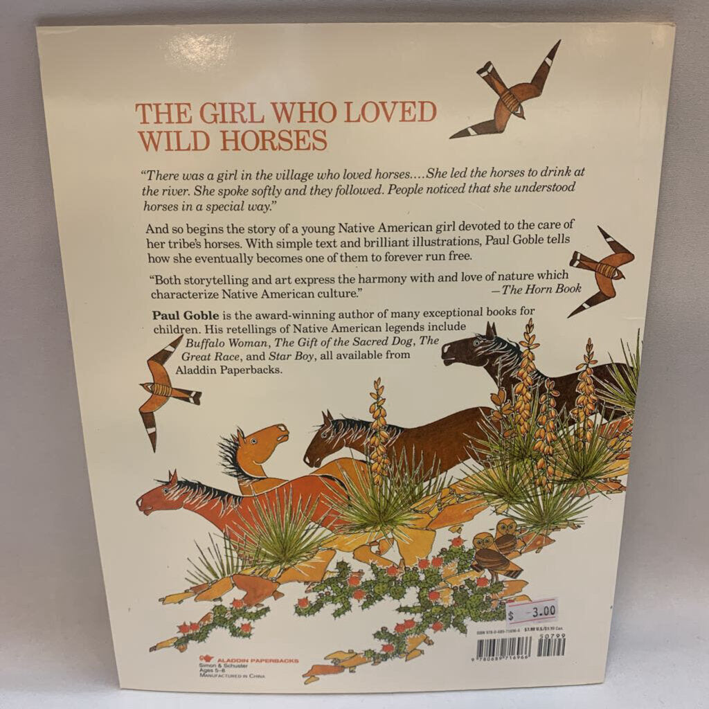 The Girl Who Loved Wild Horses