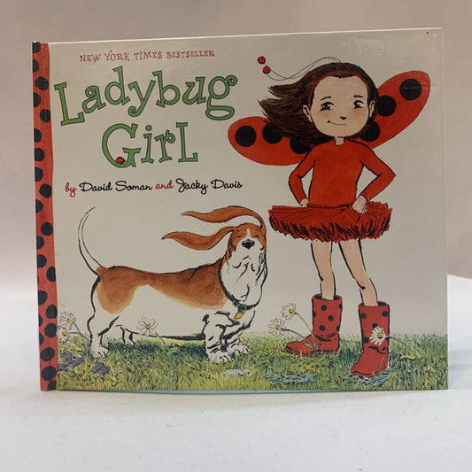 book: ladybug girl