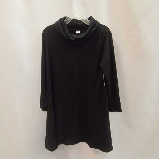Dress Long Sleeve Turtleneck