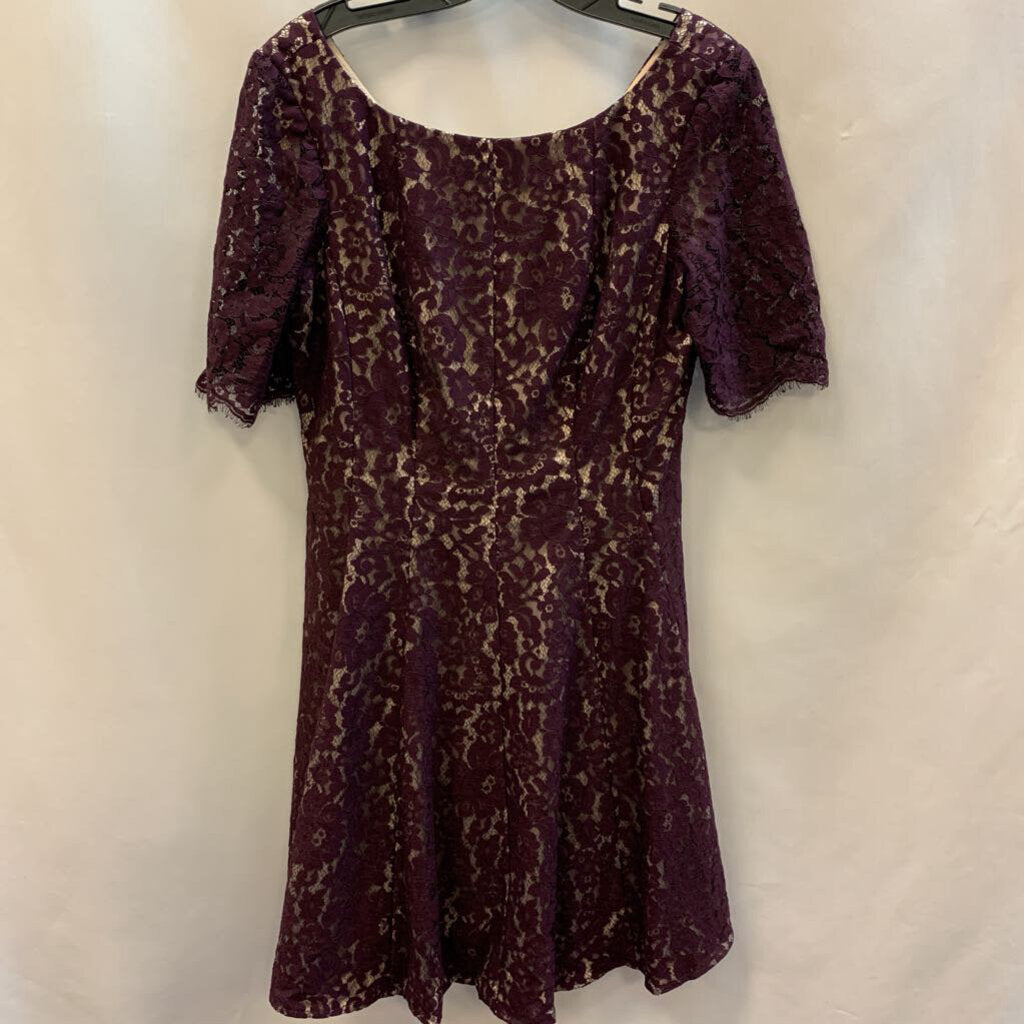 Dress: High Neck Long Sleeve Lace
