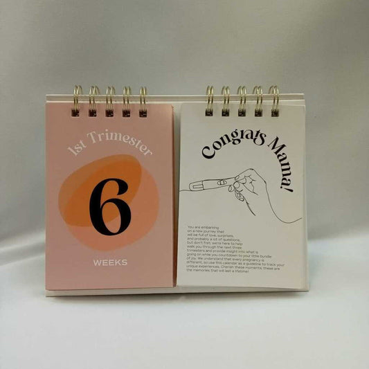 Flip Board Trimester Motivation Tracker