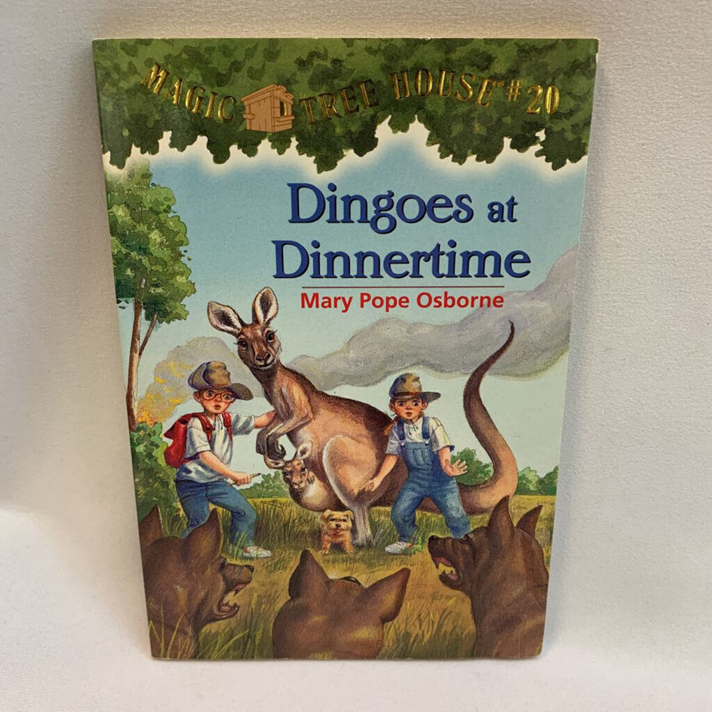 Magic Tree House # 20
