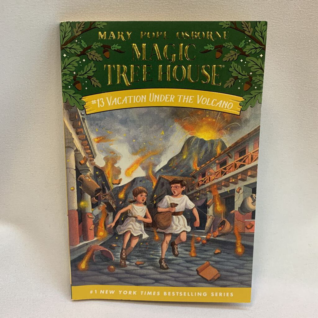 Magic Tree House #13