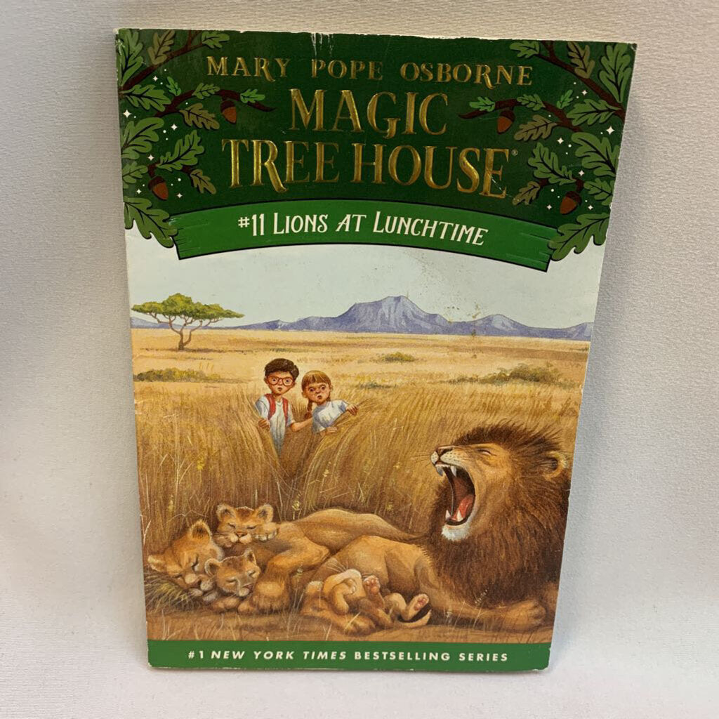 Magic Tree House # 11