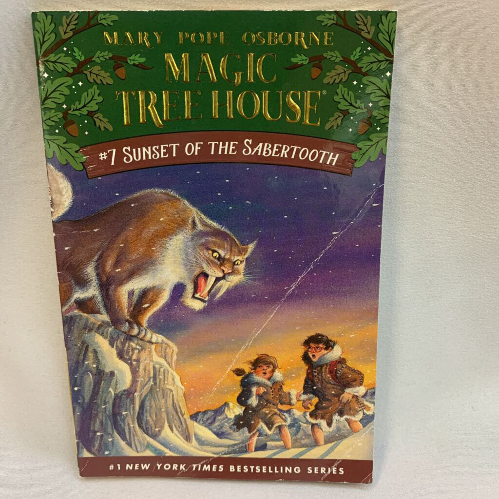 Magic Tree House # 7