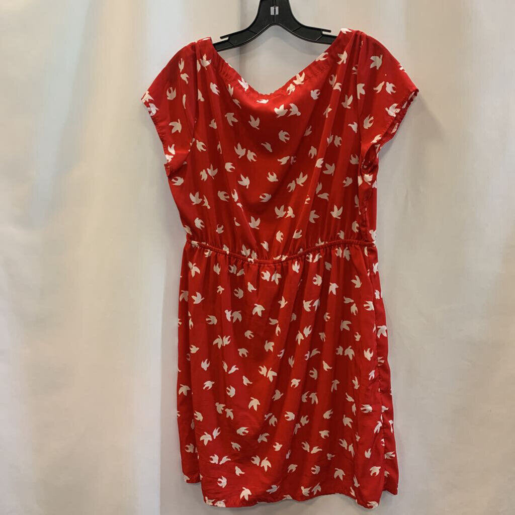 Dress: Short Sleeve Birds Midi