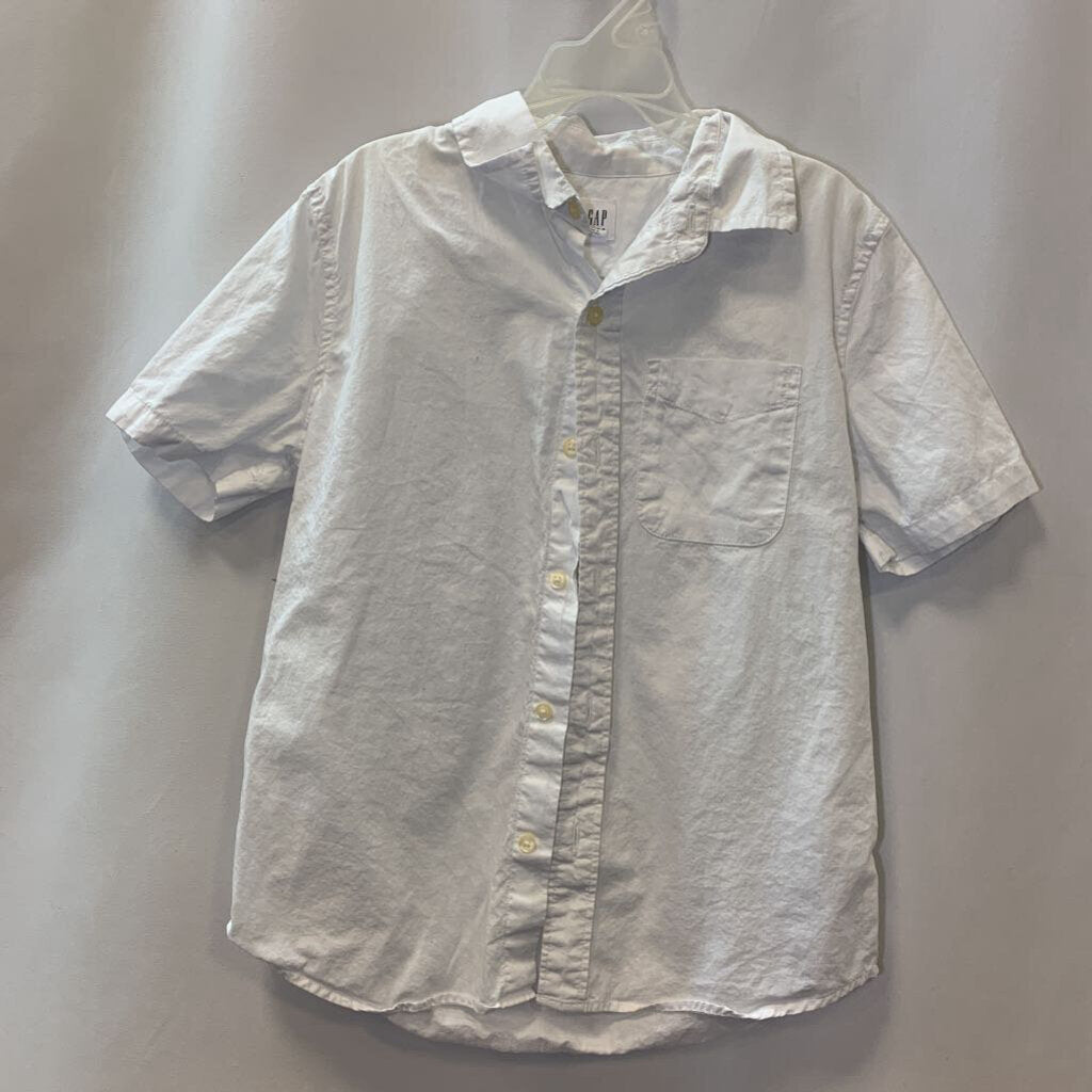 Shirt: Short Sleeve Collared Button Up