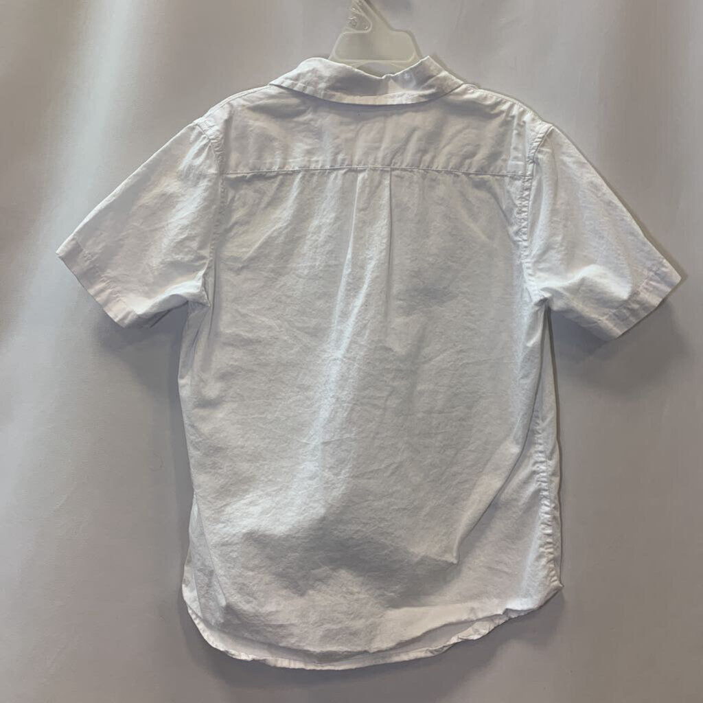 Shirt: Short Sleeve Collared Button Up