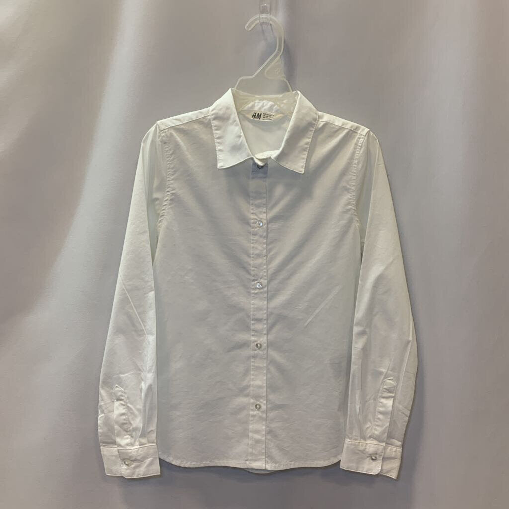 Shirt: Long Sleeve Collar