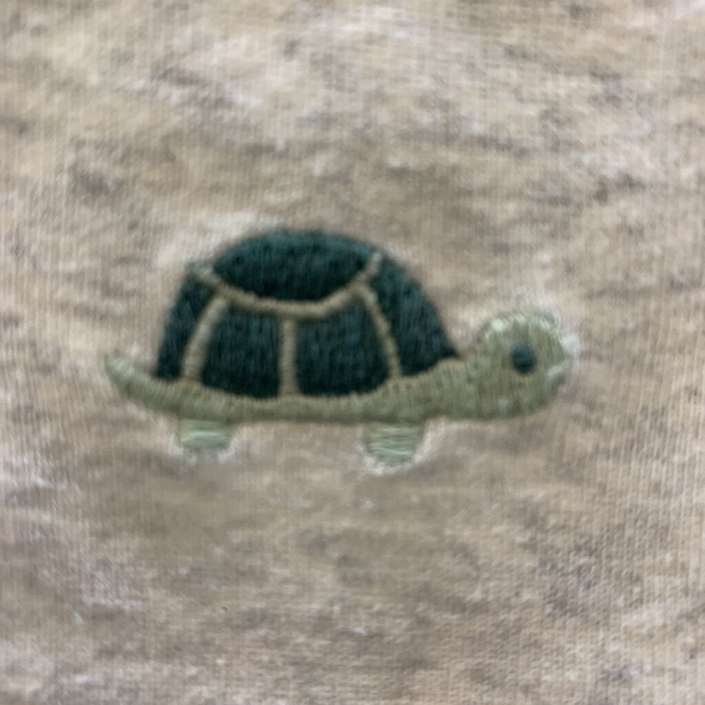 Onesie: Turtle NWOT