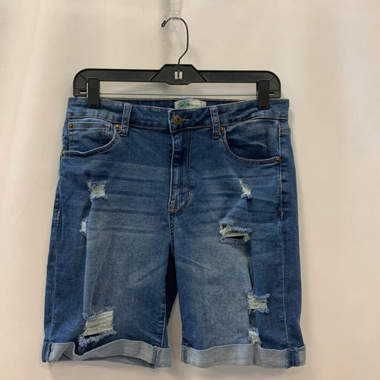 Shorts: Denim Distressed Blossom