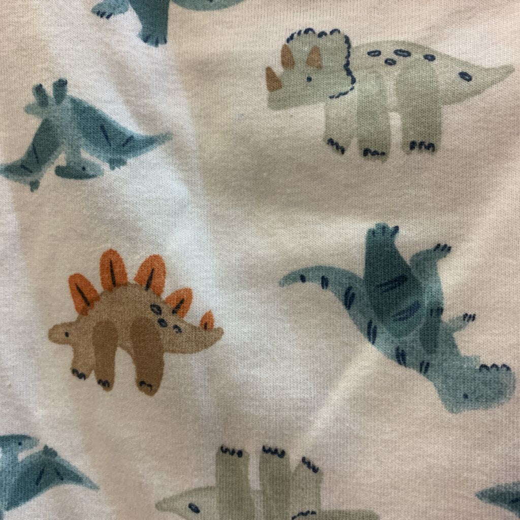 4 Pc Layette Set Dinosaur