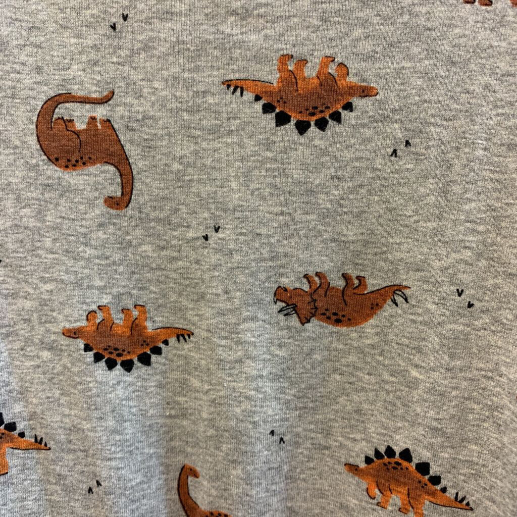 Sleeper Long Sleeve Dinosaur