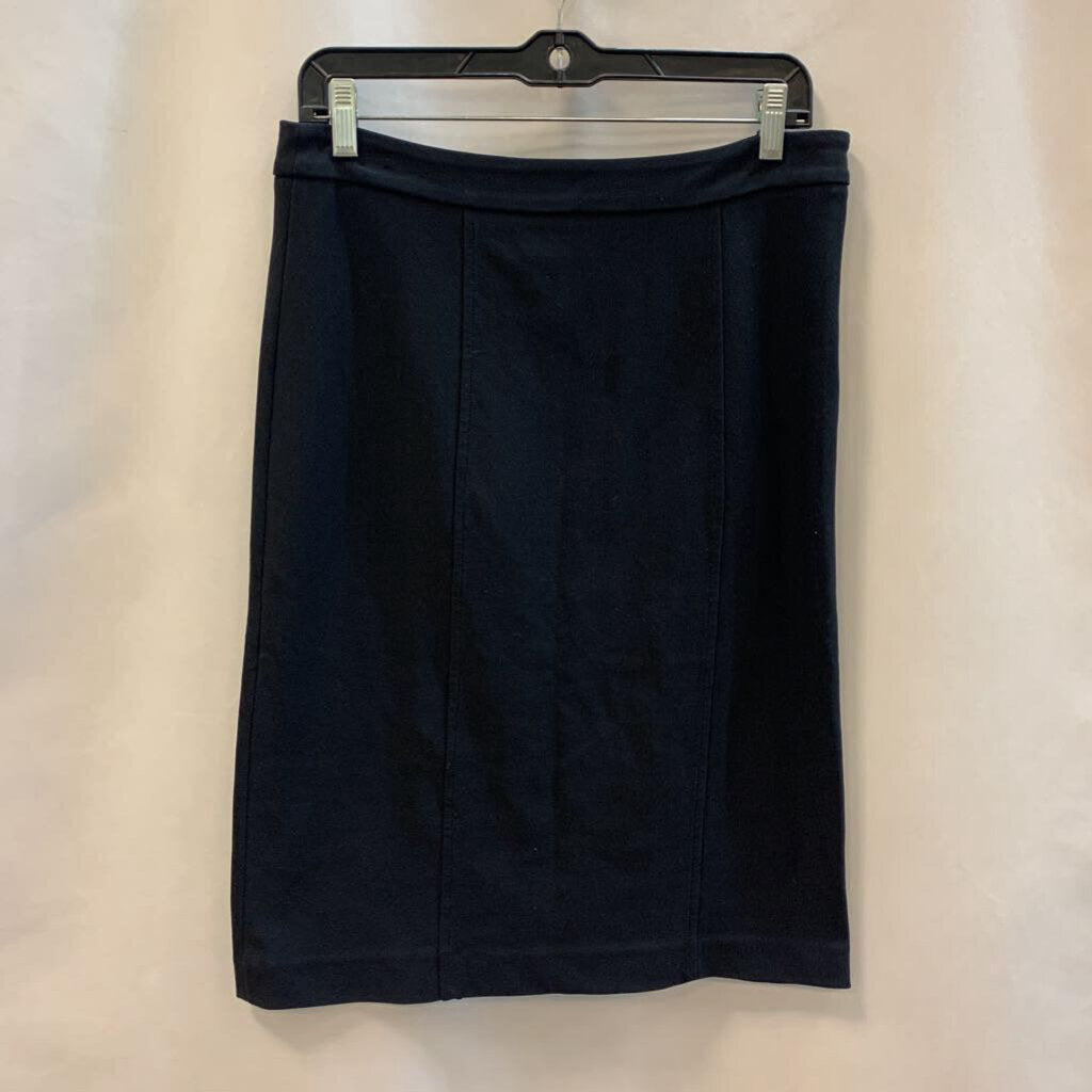 Skirt: Black Pencil Style