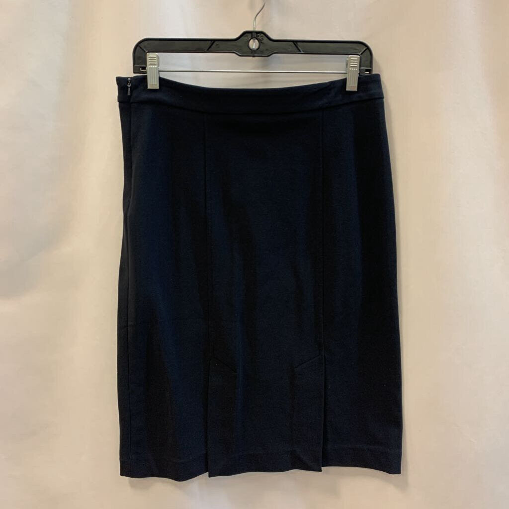 Skirt: Black Pencil Style