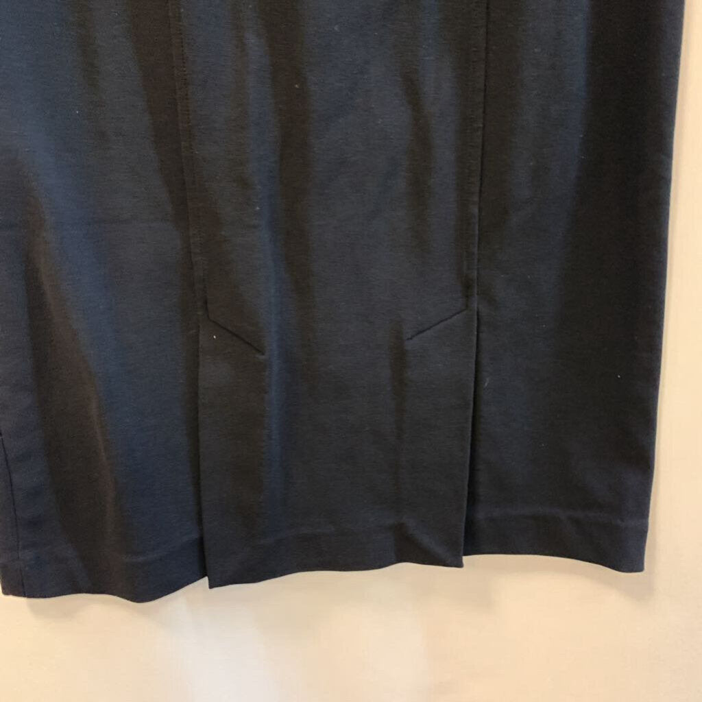Skirt: Black Pencil Style