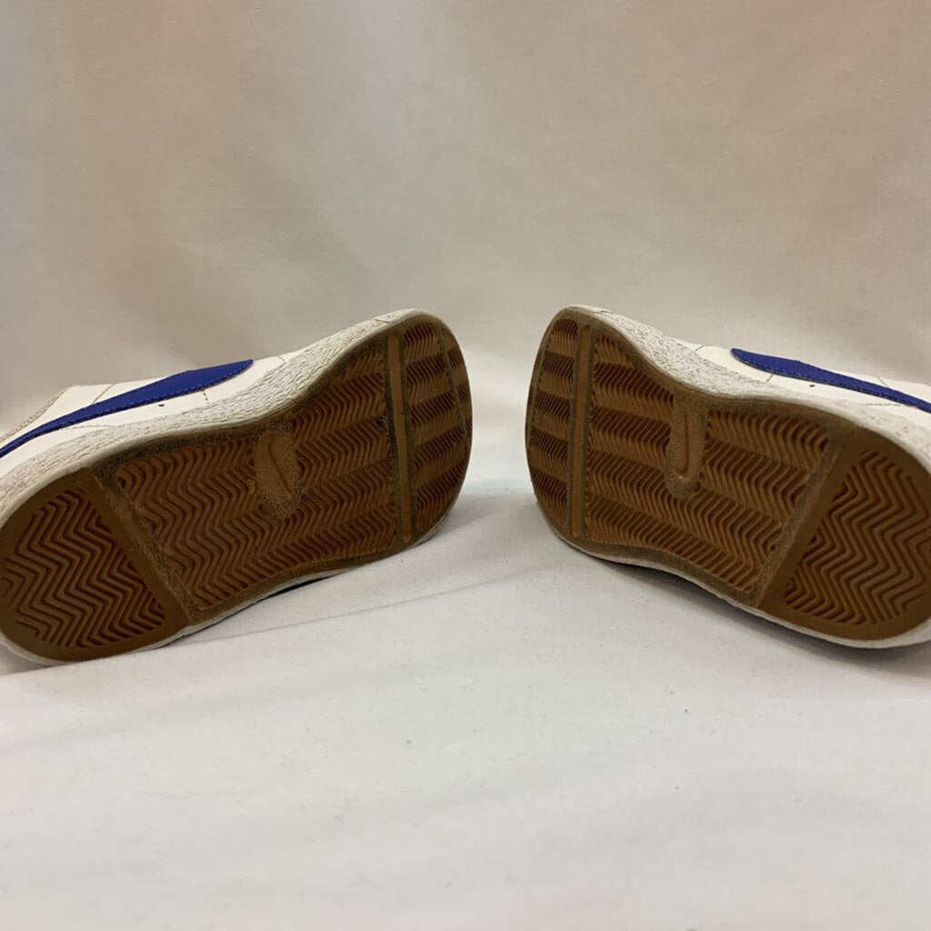 Shoes: Blue Swoosh