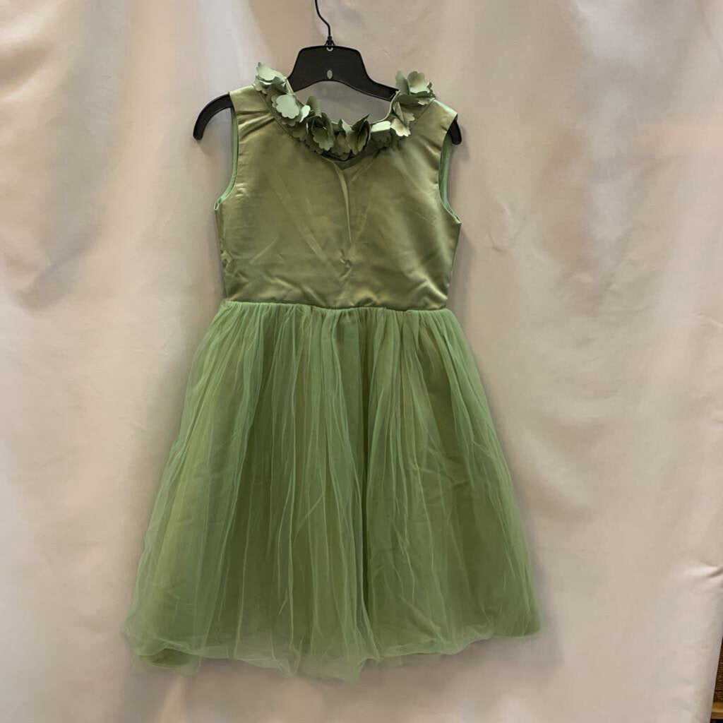Dress: NWT Sleeveless Satin V-Back Tulle
