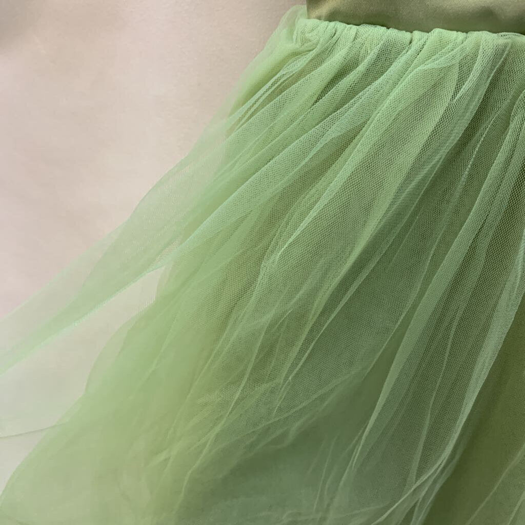 Dress: NWT Sleeveless Satin V-Back Tulle
