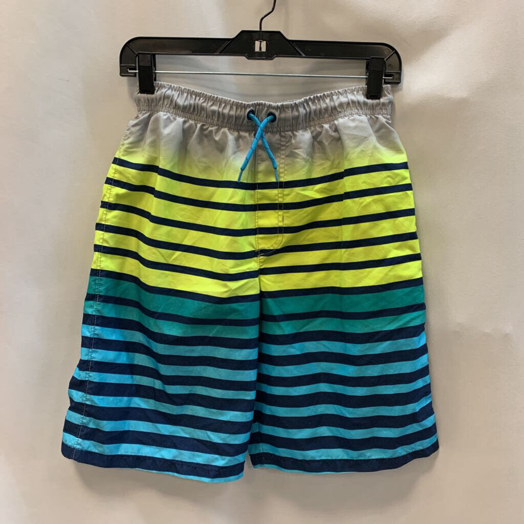 Swim Shorts: Striped Ombre