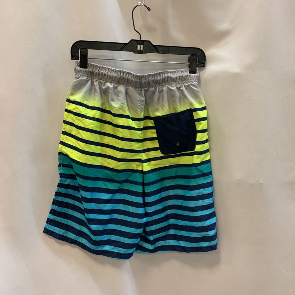 Swim Shorts: Striped Ombre